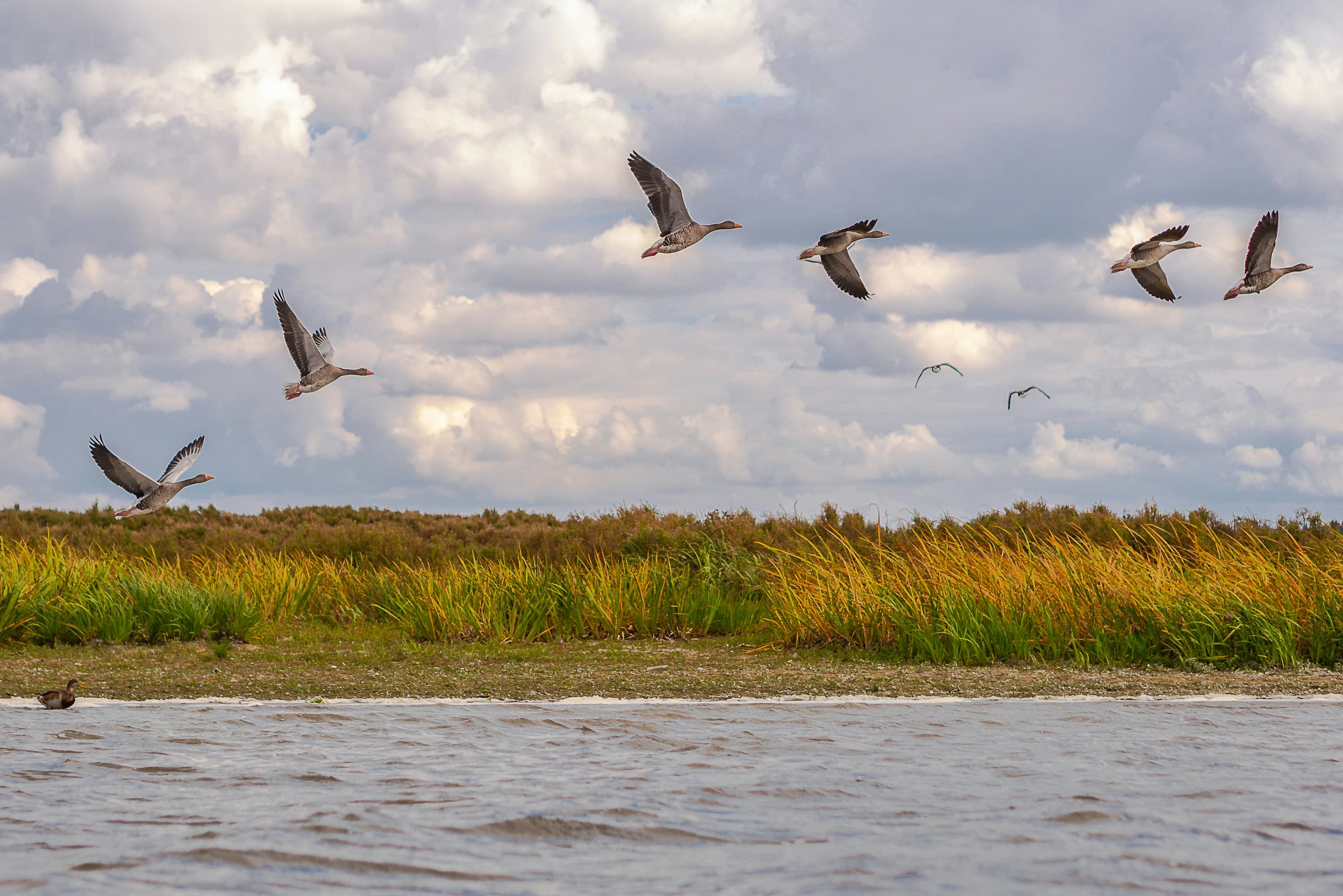 Tourismus in Schleswig-Holstein